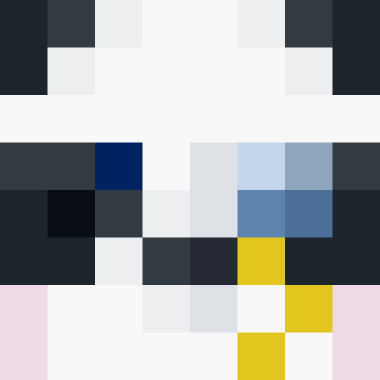 CeilingBird's skin
