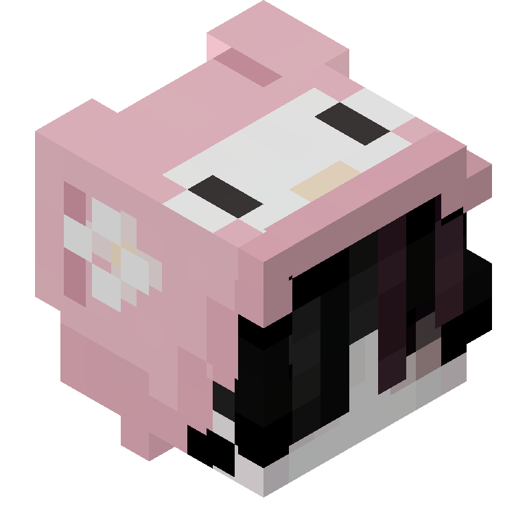 HEAD_ISO