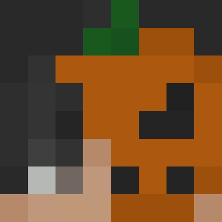 MichaPlayz123's skin