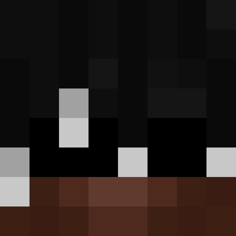 Facuncraft's skin