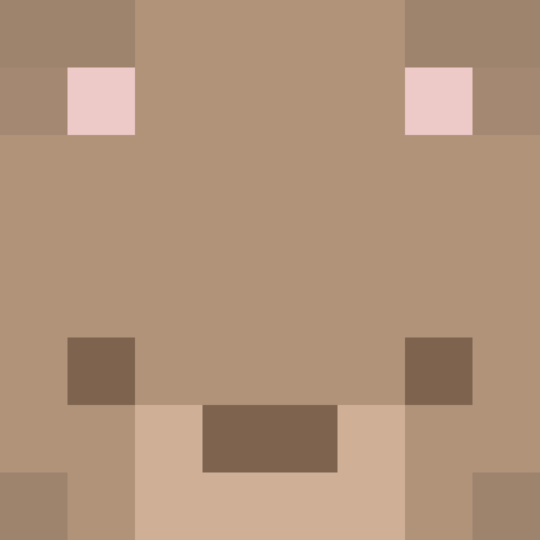 ririthecoolguy's skin
