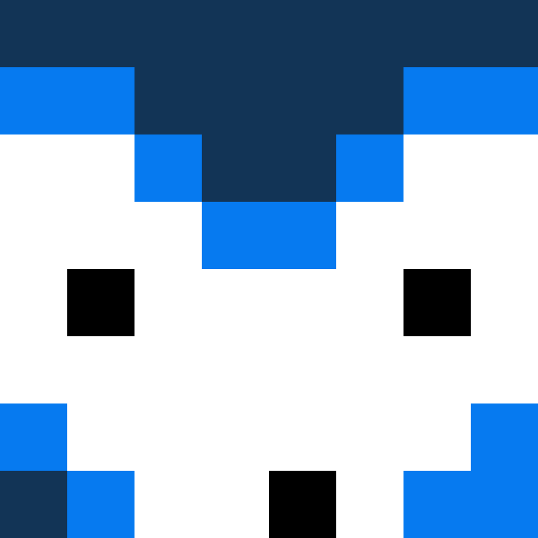 EnderCraftMine's skin