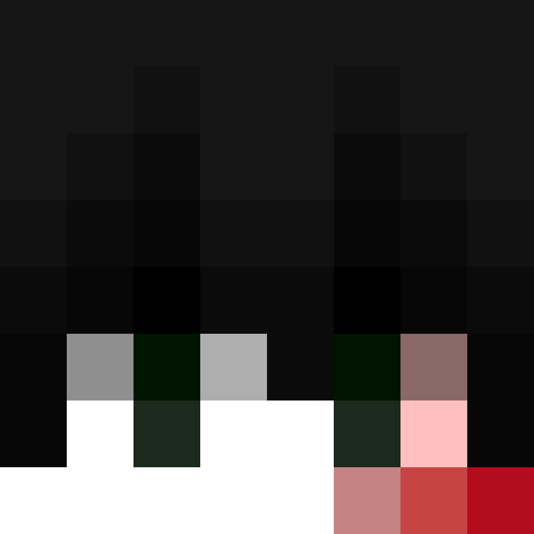 spaired's skin