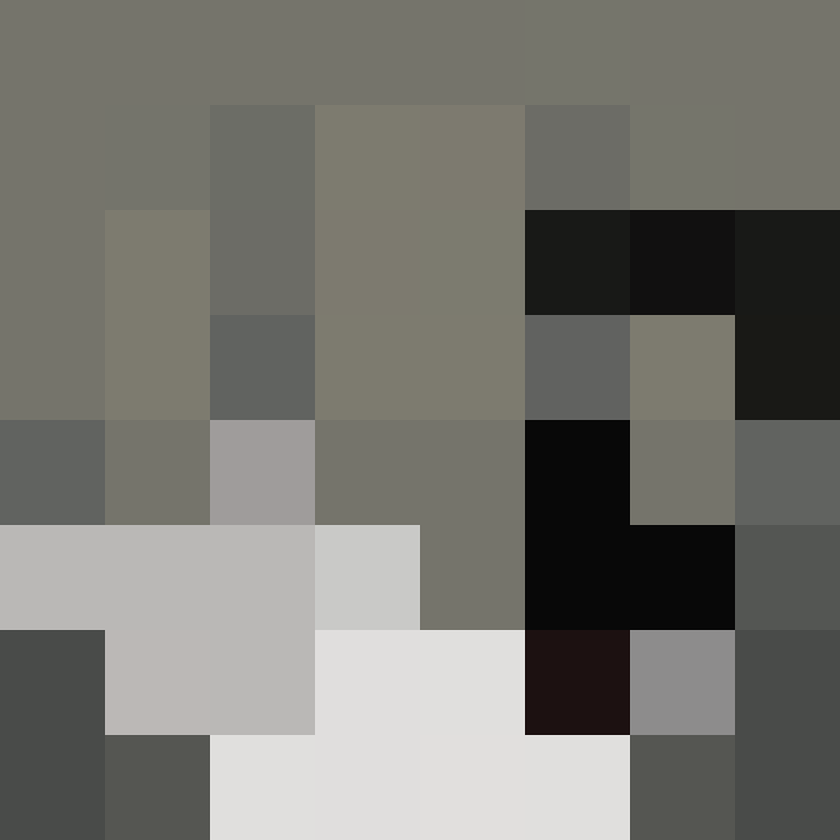 Hydrozebra_'s skin