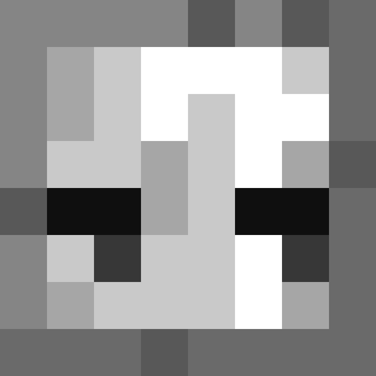 Sk1p999's skin