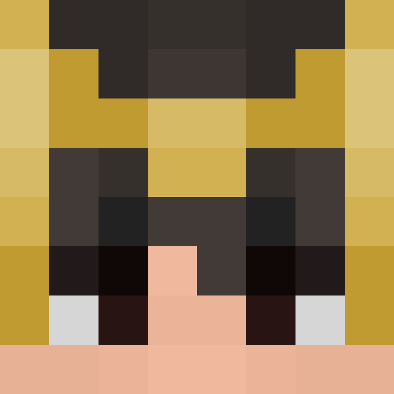 xX_No_Income_Xx's skin