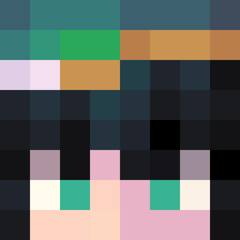 SilentMastrNinja's skin