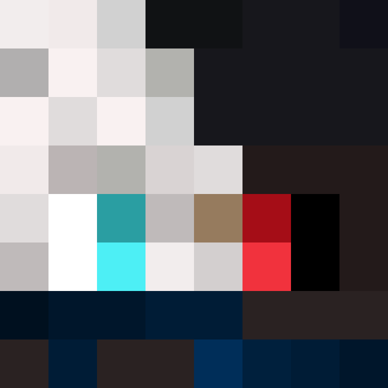 Nikibaer1109's skin