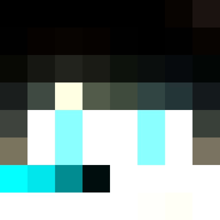 rmmi's skin