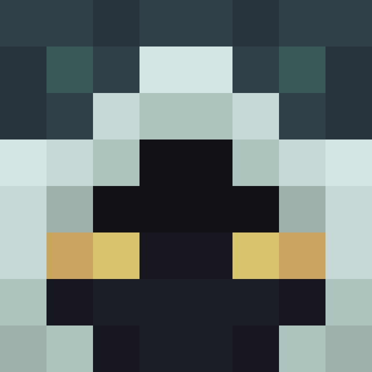 blueblizzards_'s skin