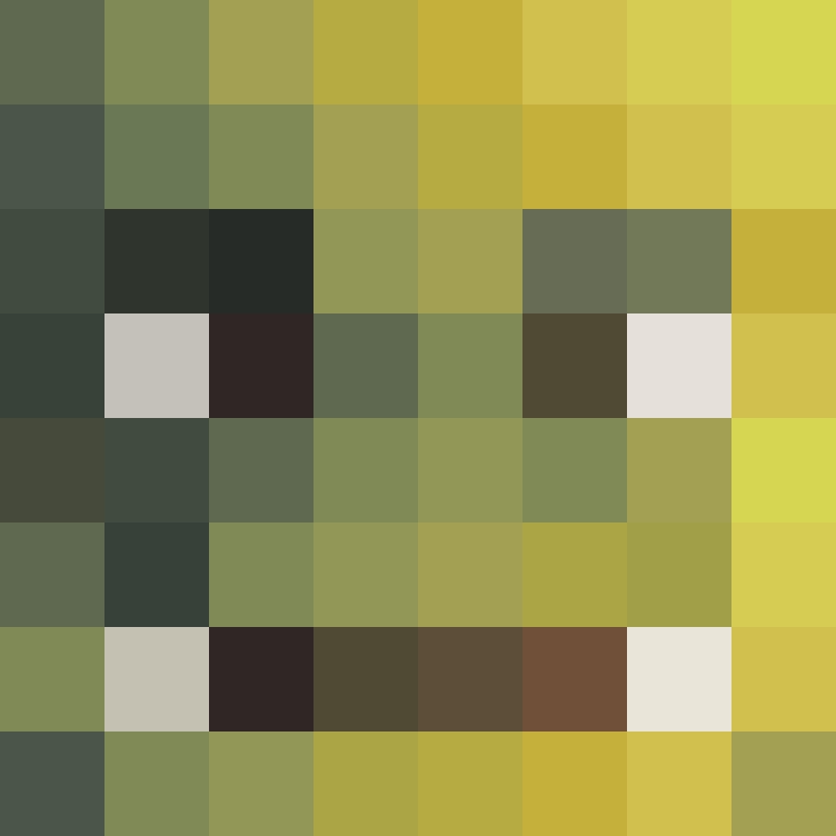 Sotnizze's skin