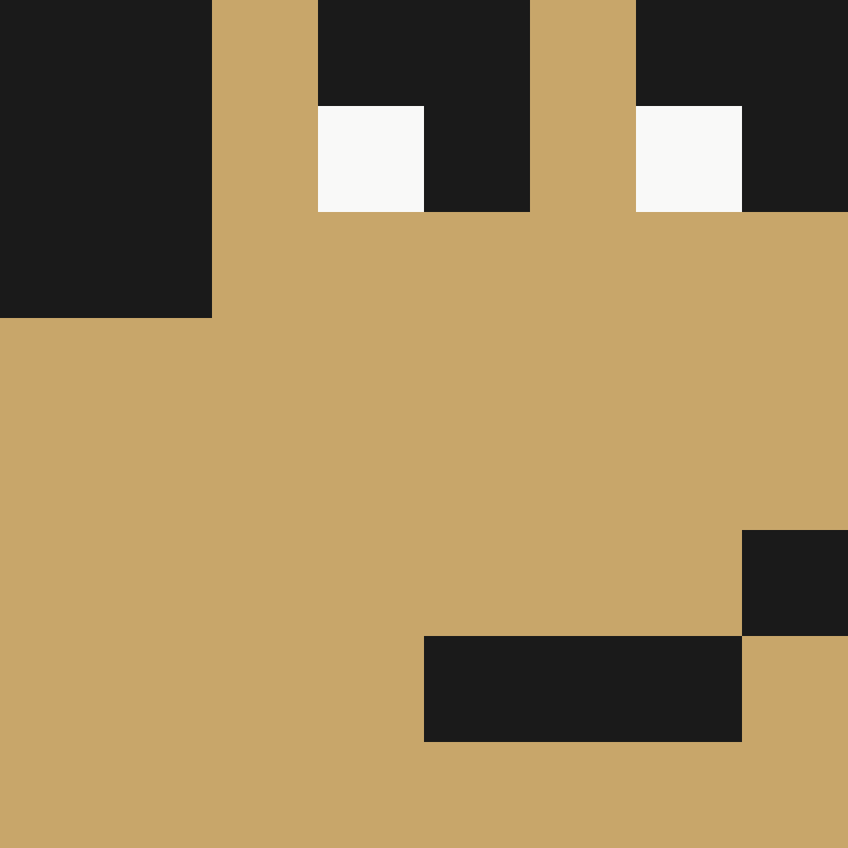 RobotRy's skin