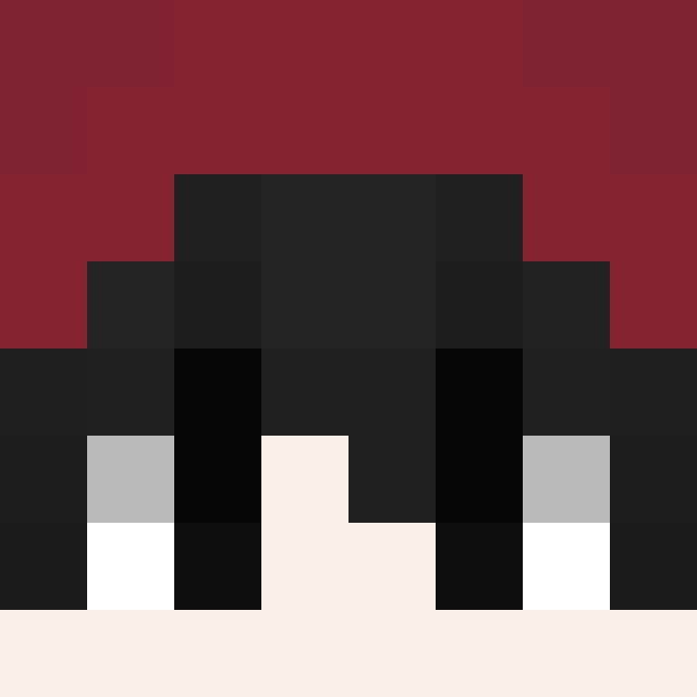 RicZim2Fly's skin