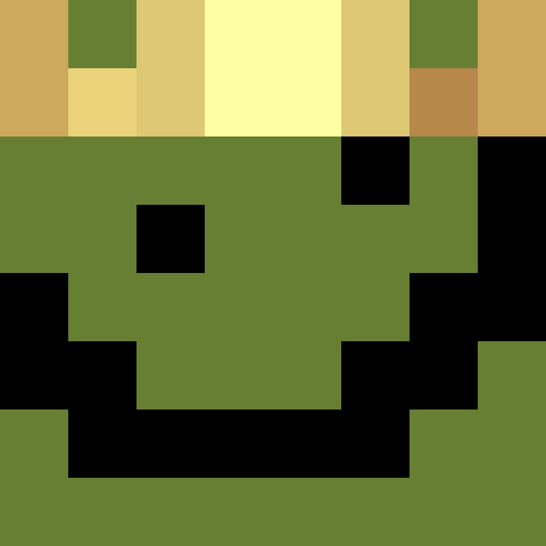 hegaspi's skin