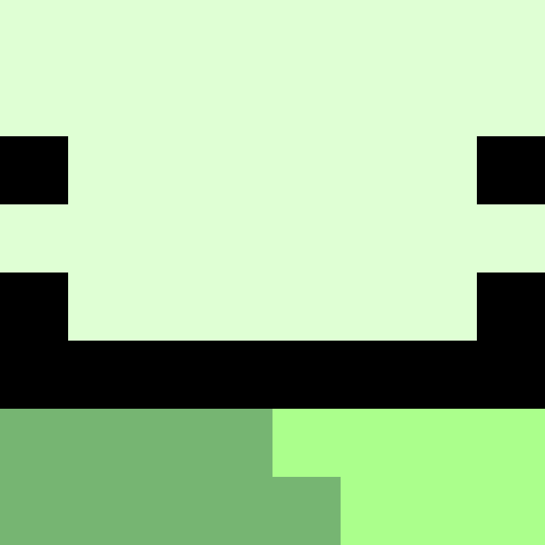 Paccoco's skin