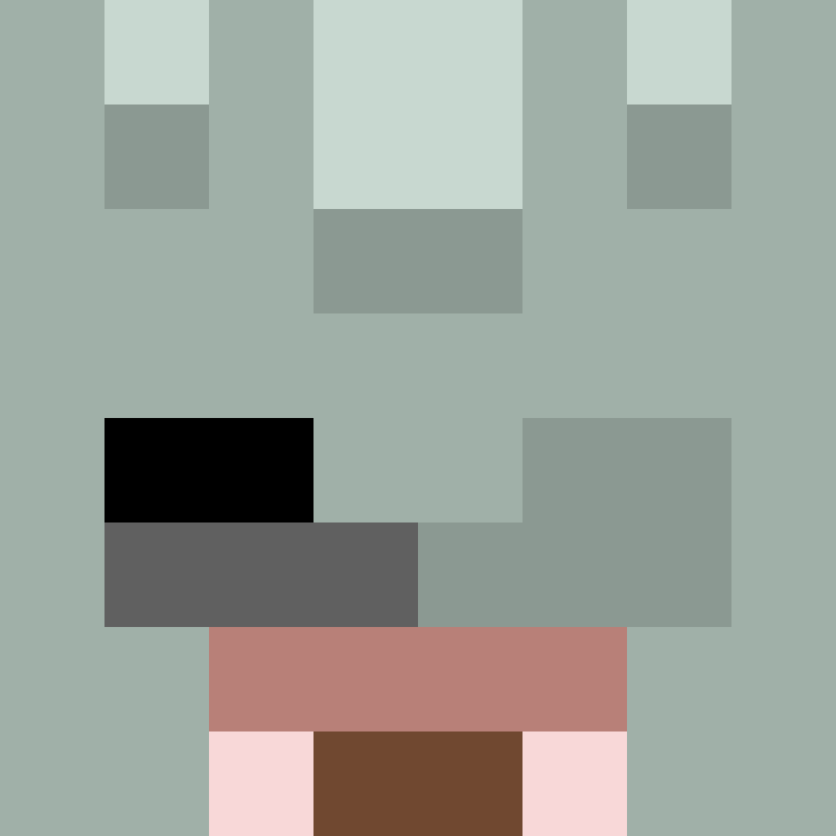 JuMpZoR's skin