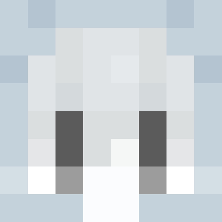 shinmonsevv's skin