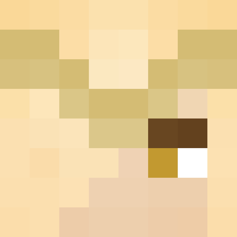 HXL1X's skin