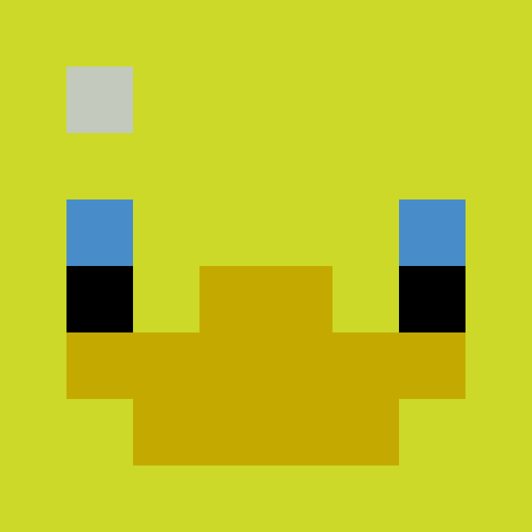 Roi1207's skin