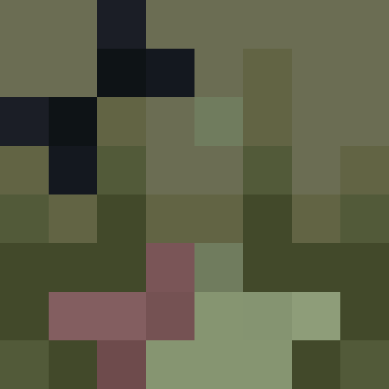 vaaresi's skin