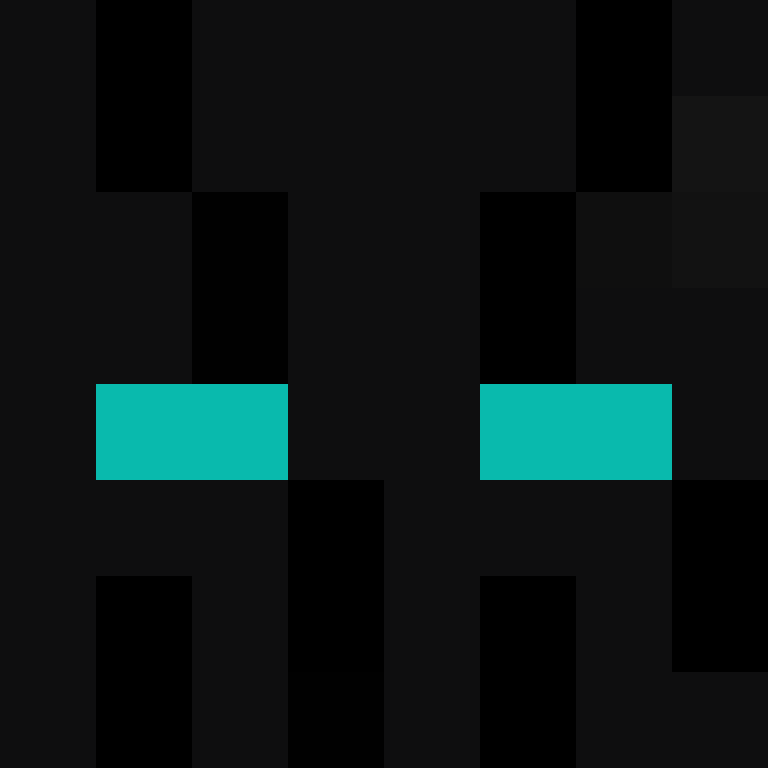 Xjzoom's skin