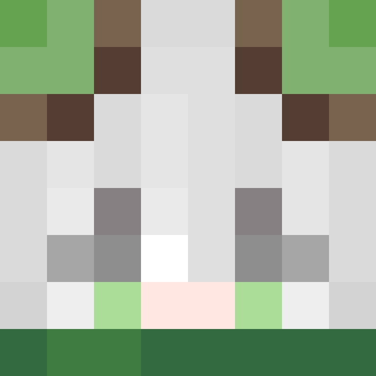 NoahErasmus's skin