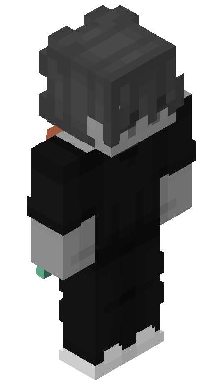 24x0 skin - FULLBODY_ISO_FRONT
