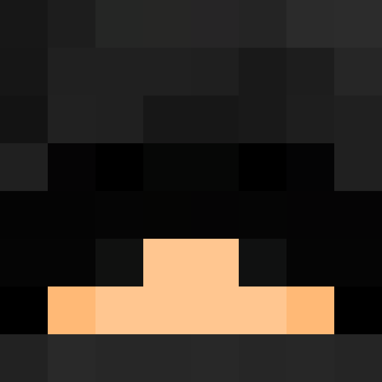 Det3rminat1on's skin