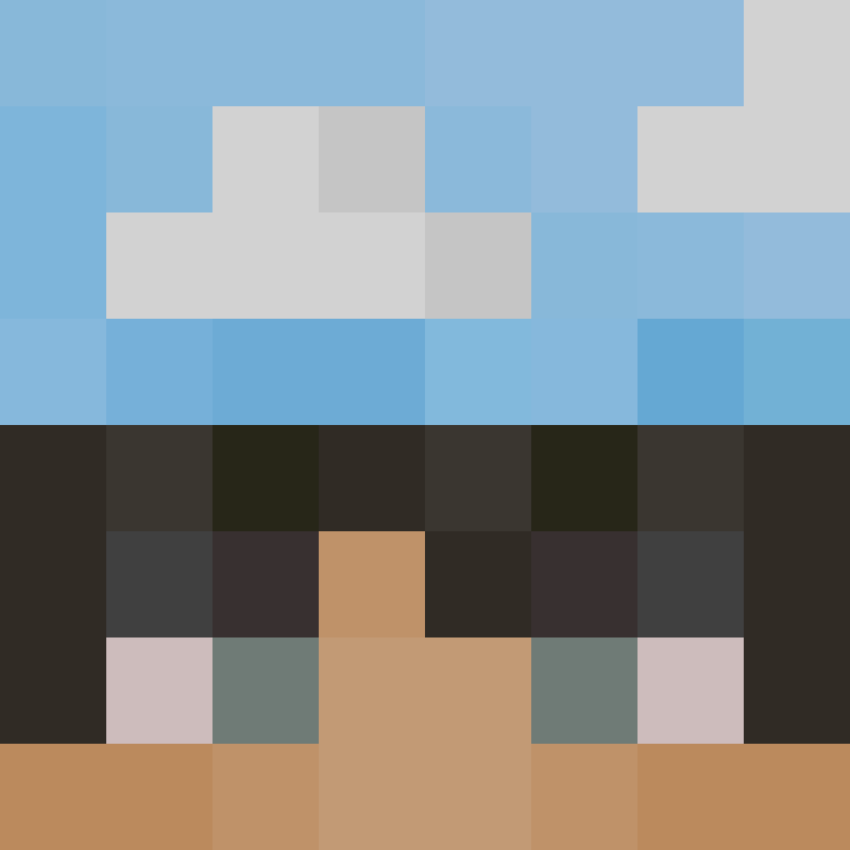 Ard1t's skin