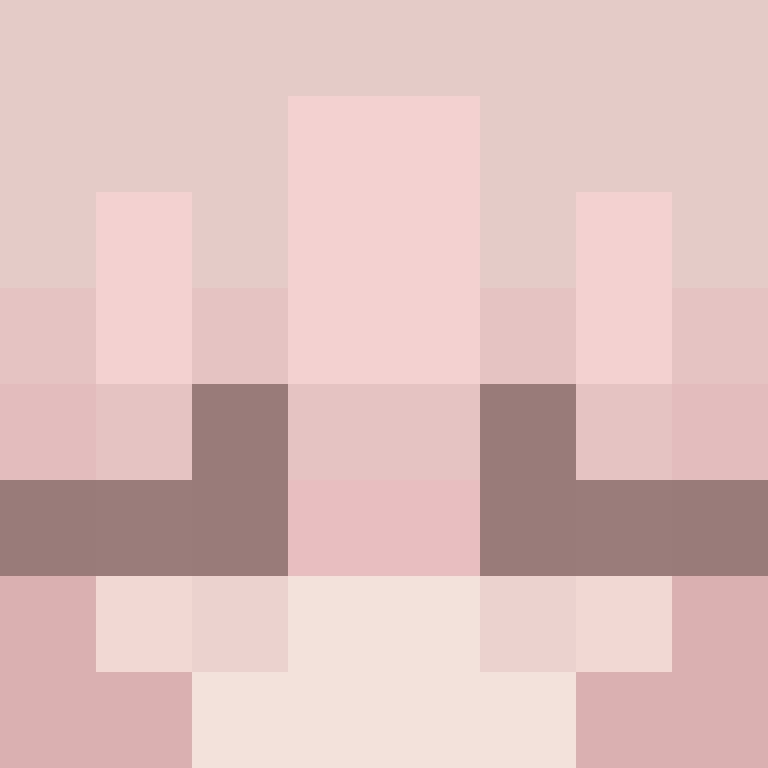 460z's skin