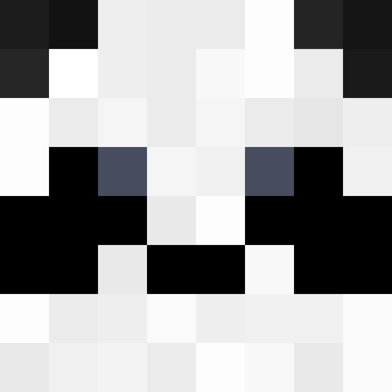 TurtleHype's skin