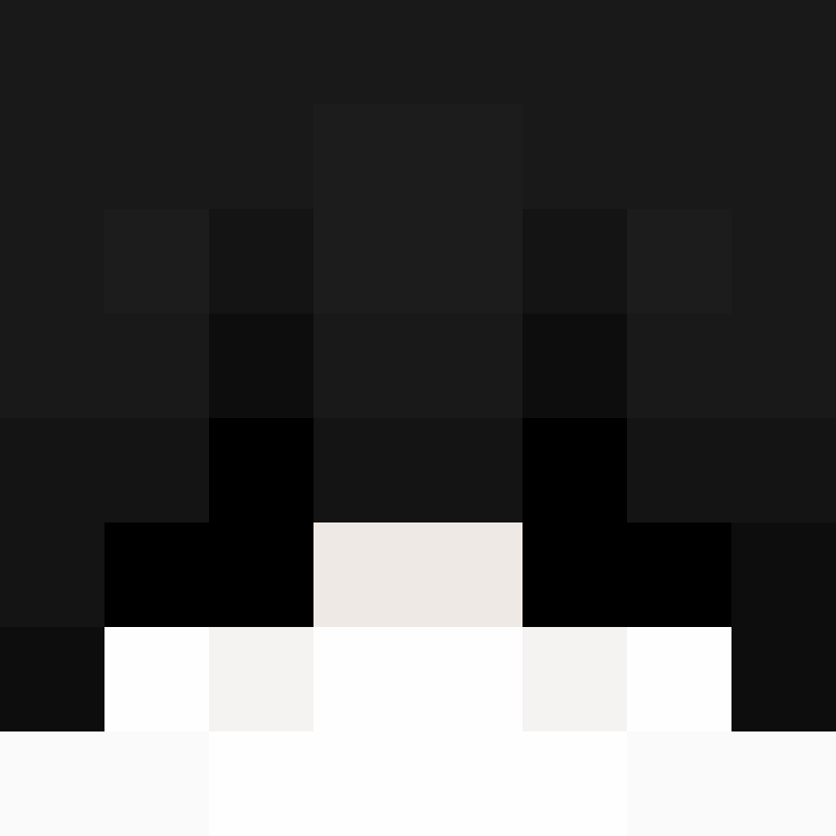 iArepa's skin