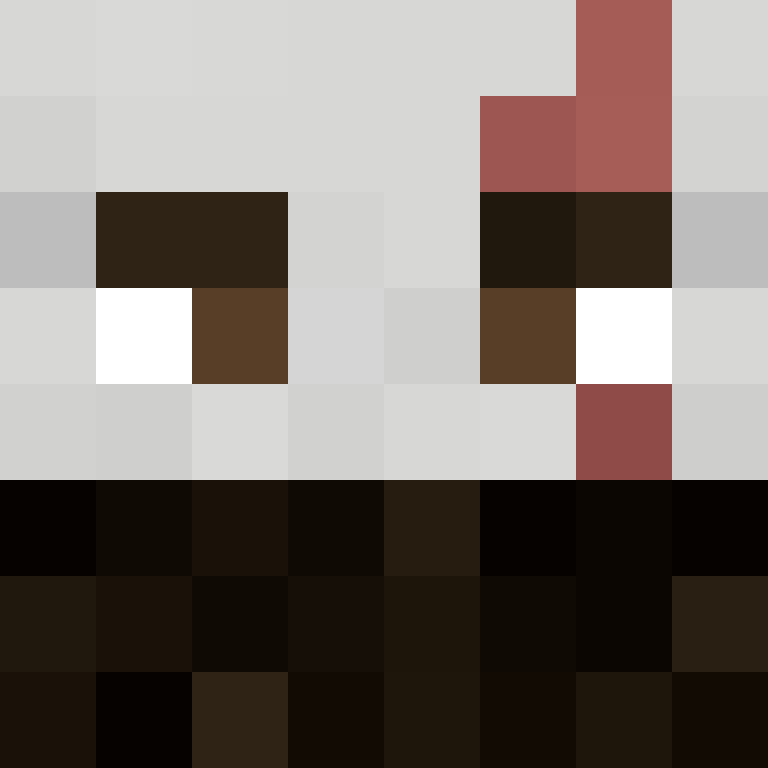 RVM555's skin