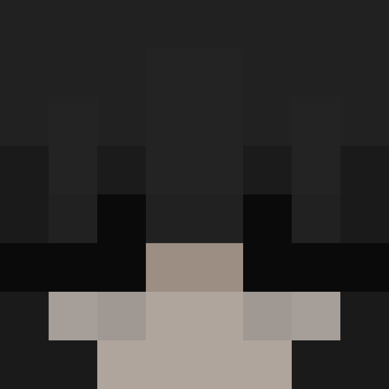Nicaidk's skin