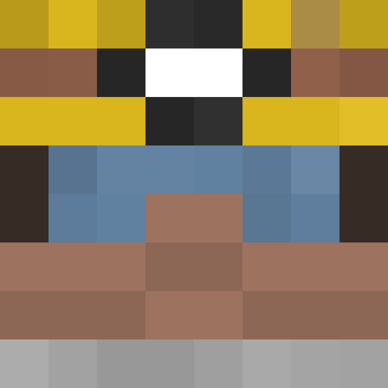JediNinja100's skin