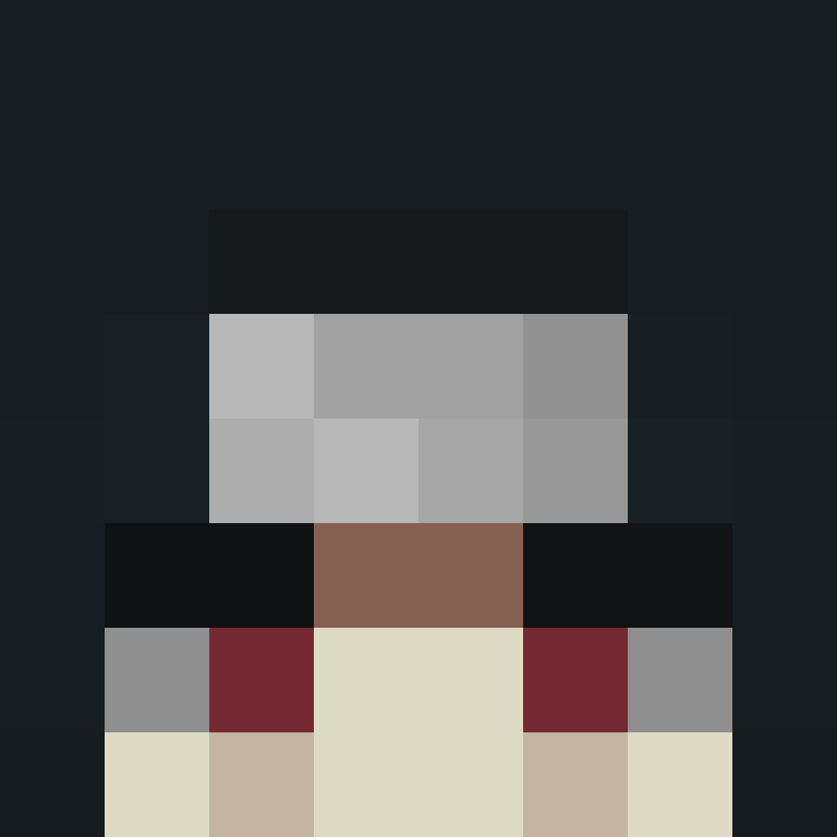 ParallelKing563's skin