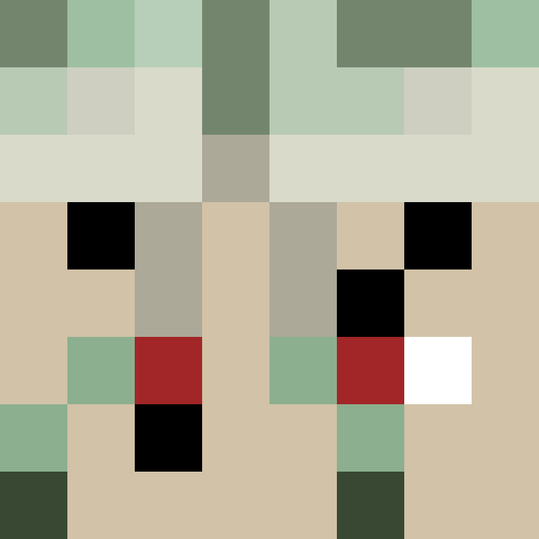 Bachiraaa's skin