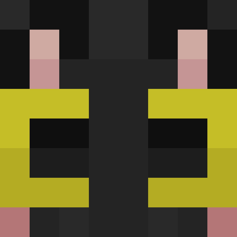 nsxtra's skin