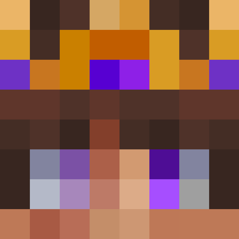 SkyNightFlame's skin