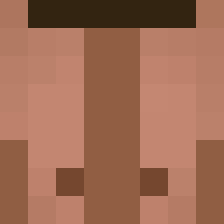 PeidoTremeTerra's skin