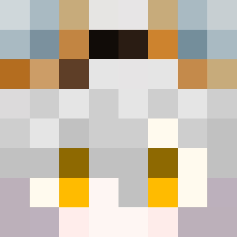 Areez_'s skin