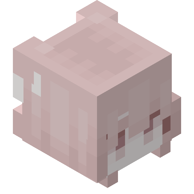 HEAD_ISO