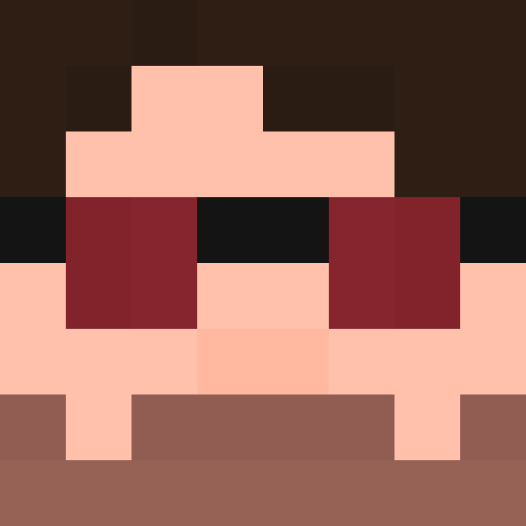 CrazyJoJoHermit's skin