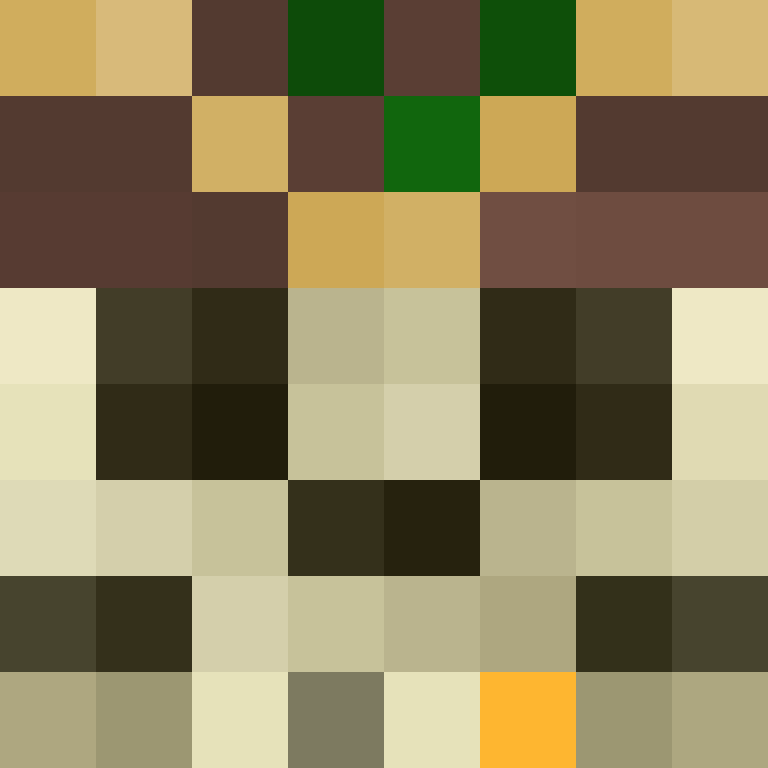 Plaggie's skin