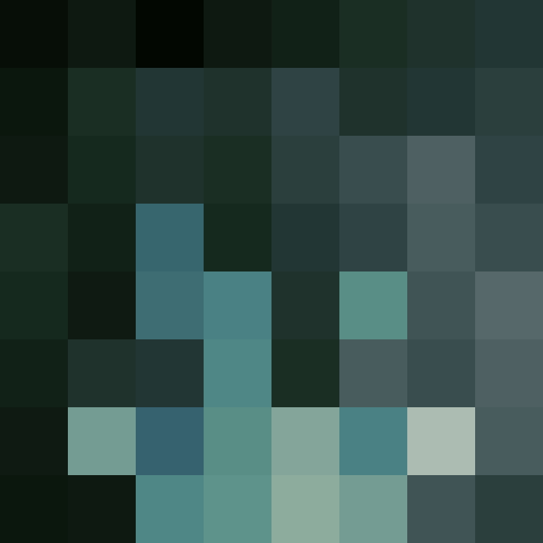 BirthdayTrain's skin