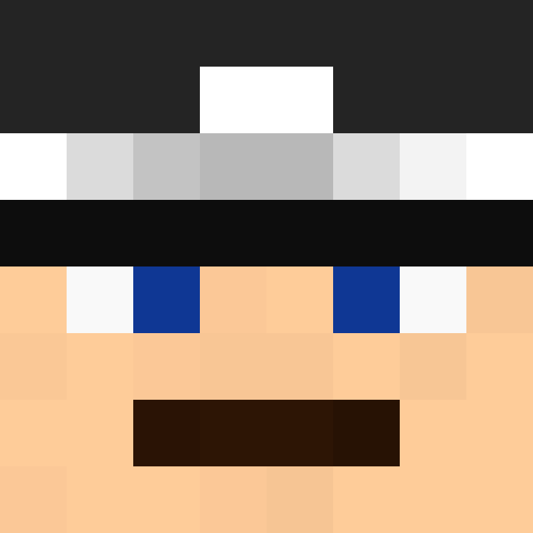 NoProfit's skin