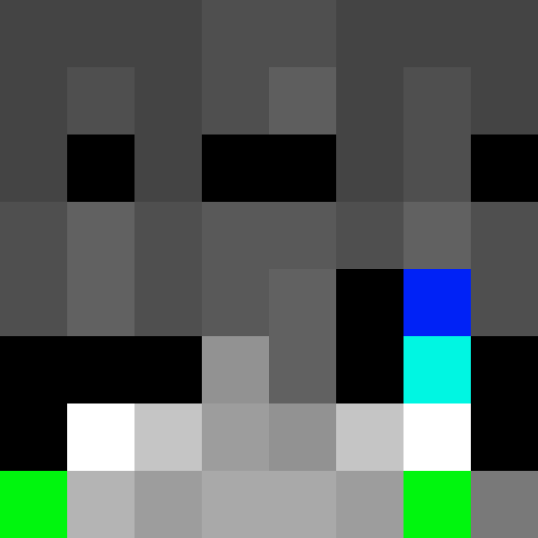 raidihcheese's skin