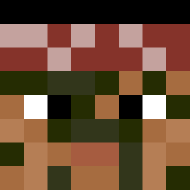 H1Torro's skin
