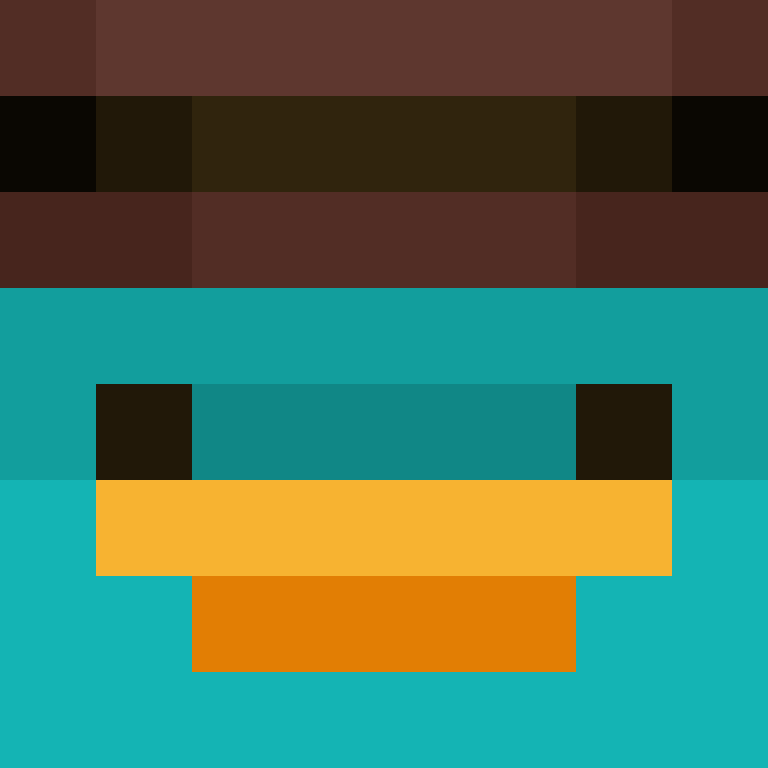 Donir2's skin