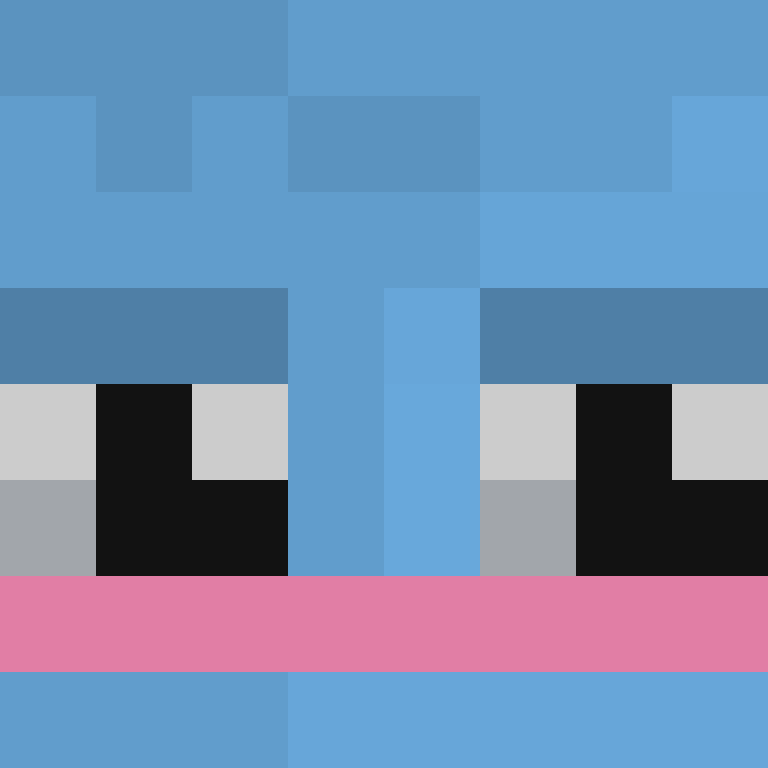 690000001's skin